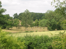 Rural scene at Bulley