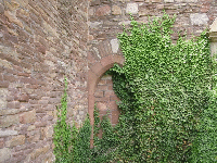 09 - 