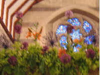 The Catherine window
