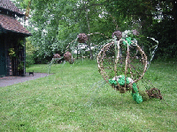 In the lawn