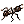 Cliquez pour previsualiser 'Animals.IconParade'