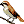Cliquez pour previsualiser 'Birds.Miekos'