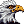Cliquez pour previsualiser 'Raptors'