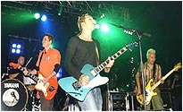 Feeder Live