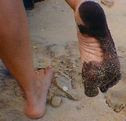 footg17.jpg (5877 bytes)