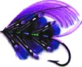 fishign fly