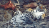 thm_bigcat30.gif