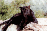 thm_bleop02.gif
