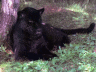 thm_bleop04.gif