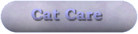 Once you have a cat, how to care for them