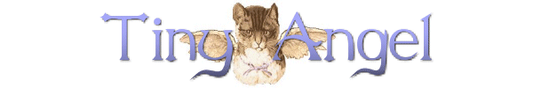 Click to continue to Cat Angels