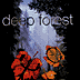 Deep Forest