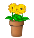 link naar de bloemen winkel