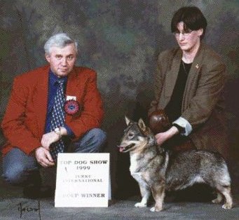 Fennican Hieno Helma