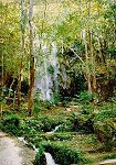 El Salto