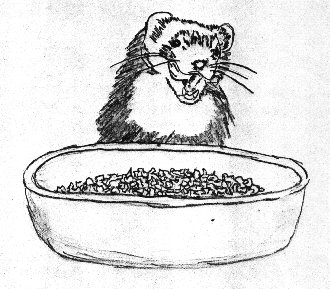 fuzzies019.jpg