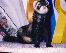 fuzzies022.jpg