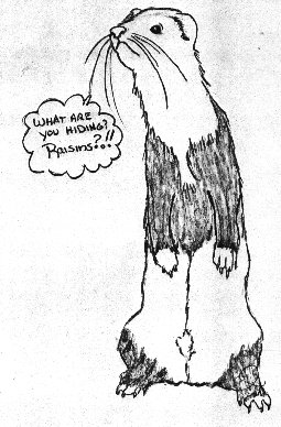 fuzzies029.jpg