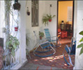 Paco y Mercy, casa particular Habana Cuba