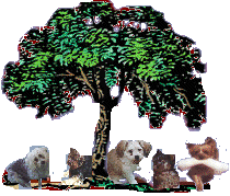 Fern Michaels Yorkies