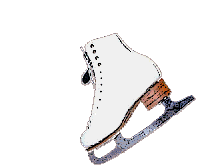 skate1.gif (33815 bytes)