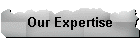 Our Expertise