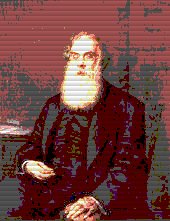António Feliciano de Castilho