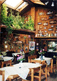 Fern001.gif