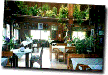 Fern004.gif