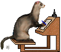 Email the Ferret Mom!