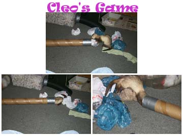 Cleo's game