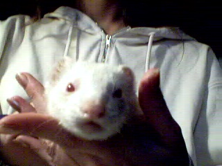 Sunnie