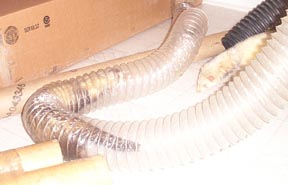 Ferret tunnels!