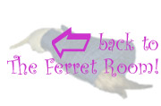 The Ferret Room!