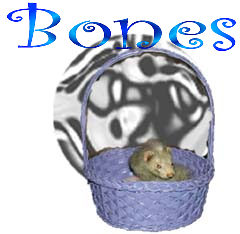 Bones!
