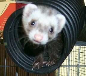 Hi!