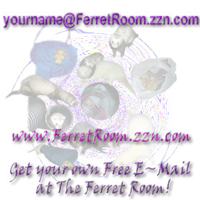 Get your own Free E~Mail!