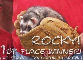 Rocky! Winner of the Winter 2000-2001 Foto~Fun Contest!