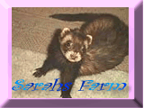 Sarahs Farm