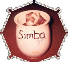 Simba