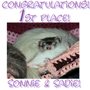 Sonnie & Sadie! Winners of the First 2000 Foto~Fun Contest!
