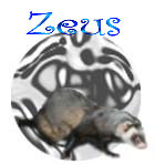 Zeus!