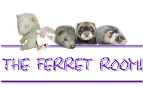 The Ferret Room!