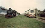 Vista al lado del Coche Motor Ganz de regreso a Buenos Aires,el Tren de la Mudanza con locomotora Maffei. 11/9/1977.Carlos Perez Darnaud