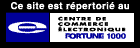Centre de Commerce lectroniqueFortune 1000