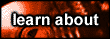 sharky extreme, engelstalige hadrware site
