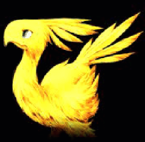 Chocobo!