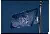 The United Nations