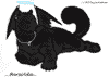 meow!.jpg