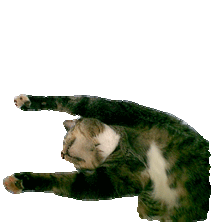 leoswing.gif